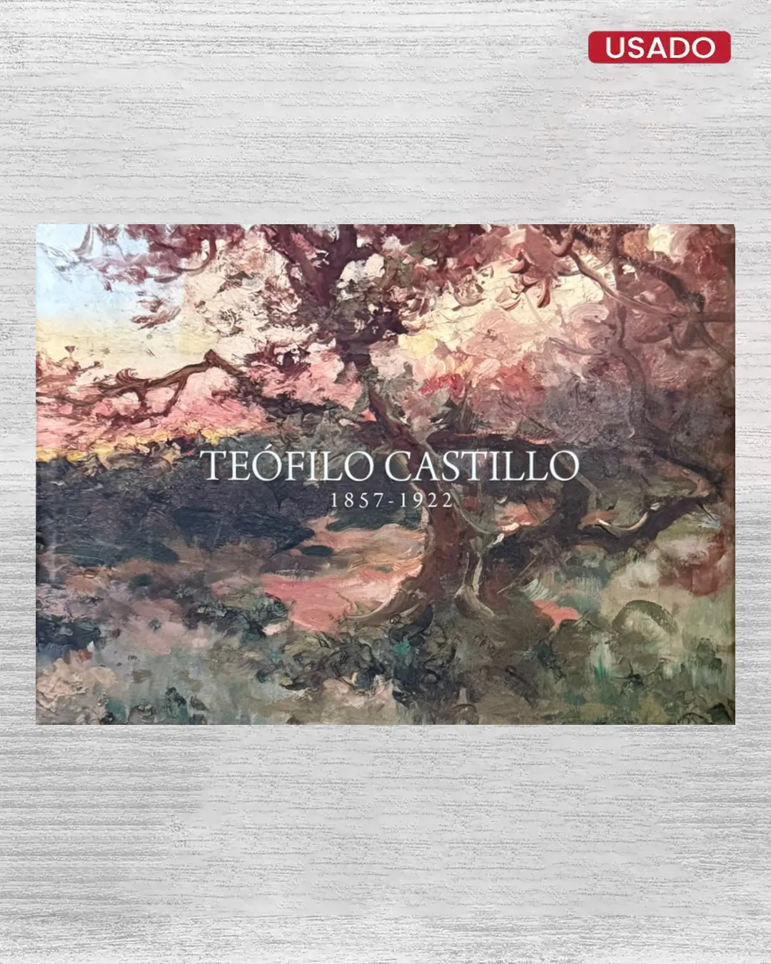 TEÓFILO CASTILLO, 1857 – 1922