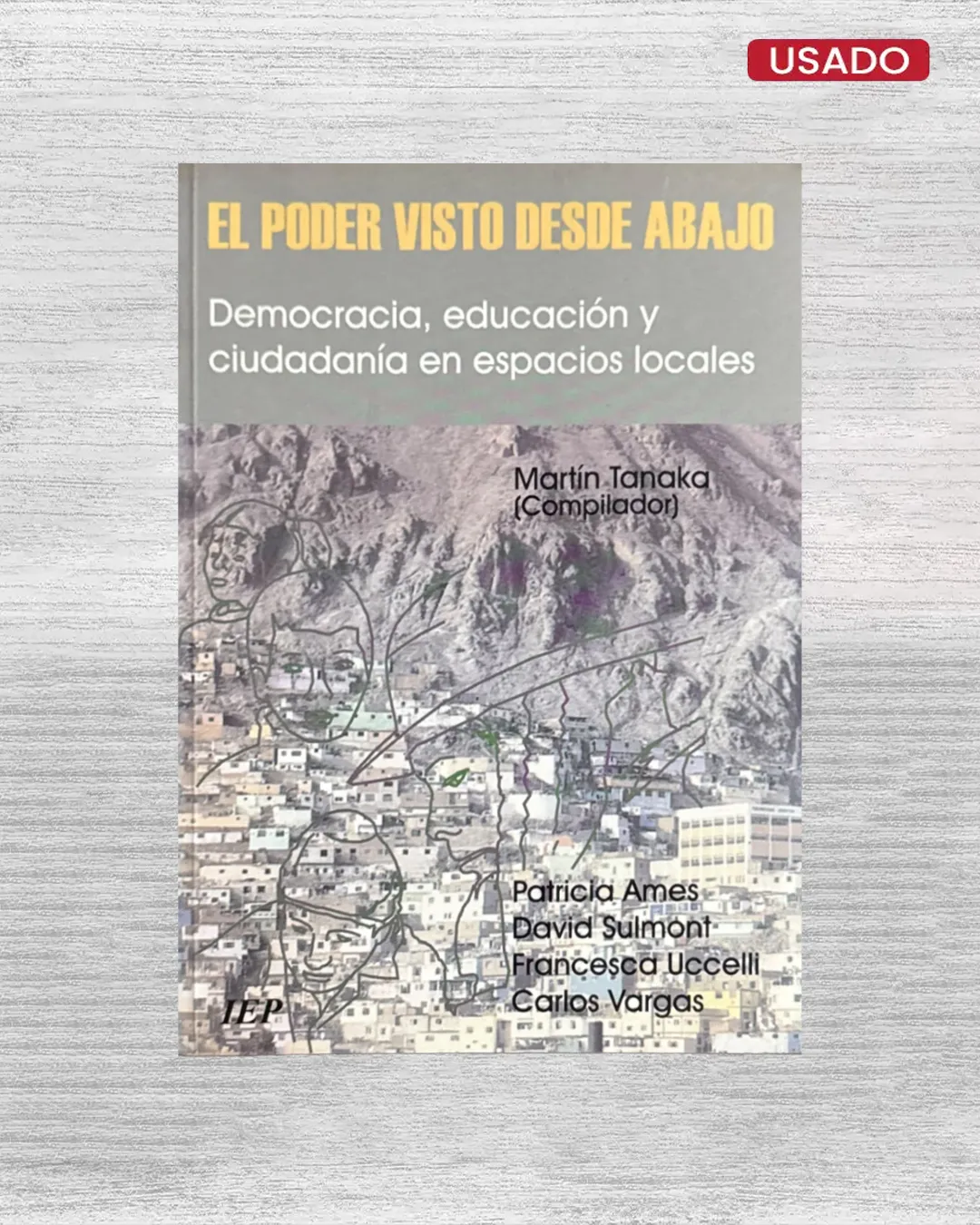 EL PODER VISTO DESDE ABAJO: DEMOCRACIA, EDUCACION Y CIUDADANÍA EN ESPACIOS LOCALES
