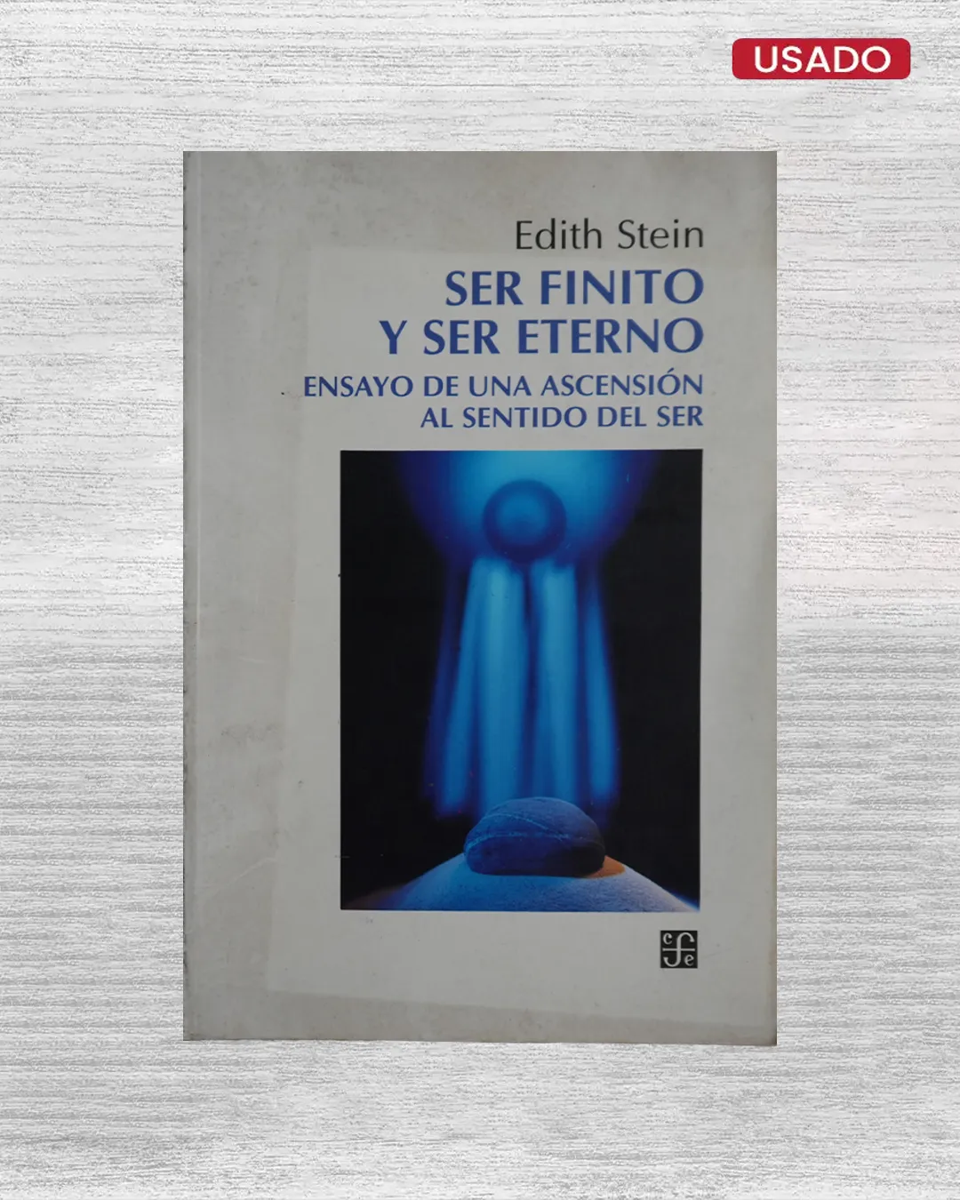 SER FINITO Y SER ETERNO; ENSAYO DE UNA ASCENCIÓN AL SENTIDO DEL SER