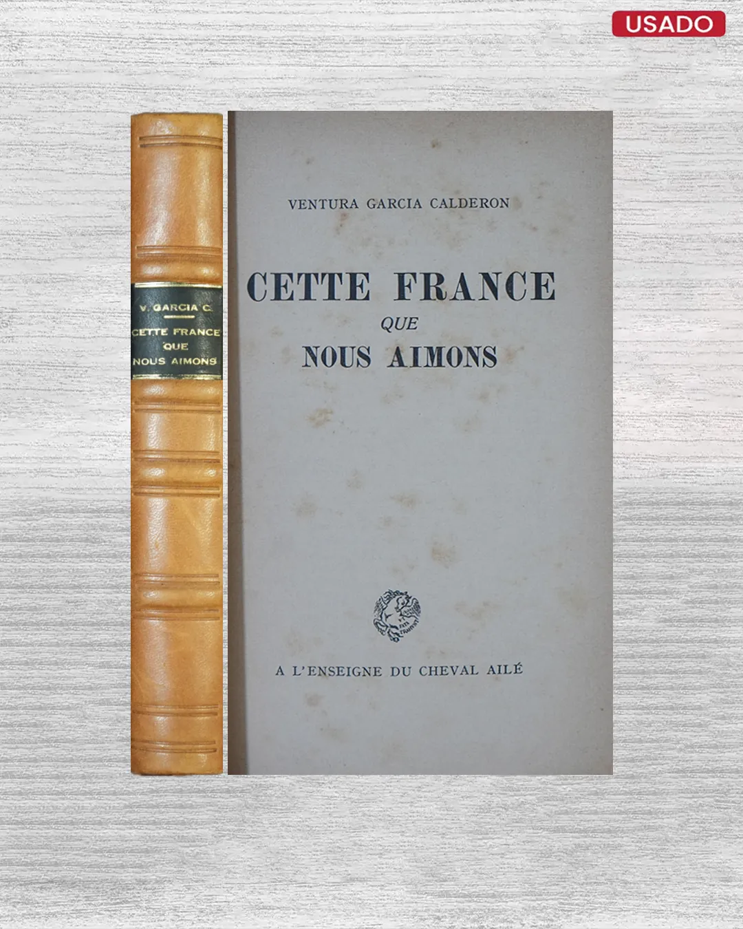 CETTE FRANCE QUE NOUS AIMONS