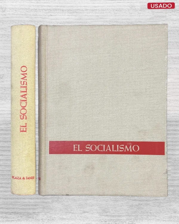 EL SOCIALISMO: DE LA LUCHA DE CLASES AL ESTADO PROVIDENCIA