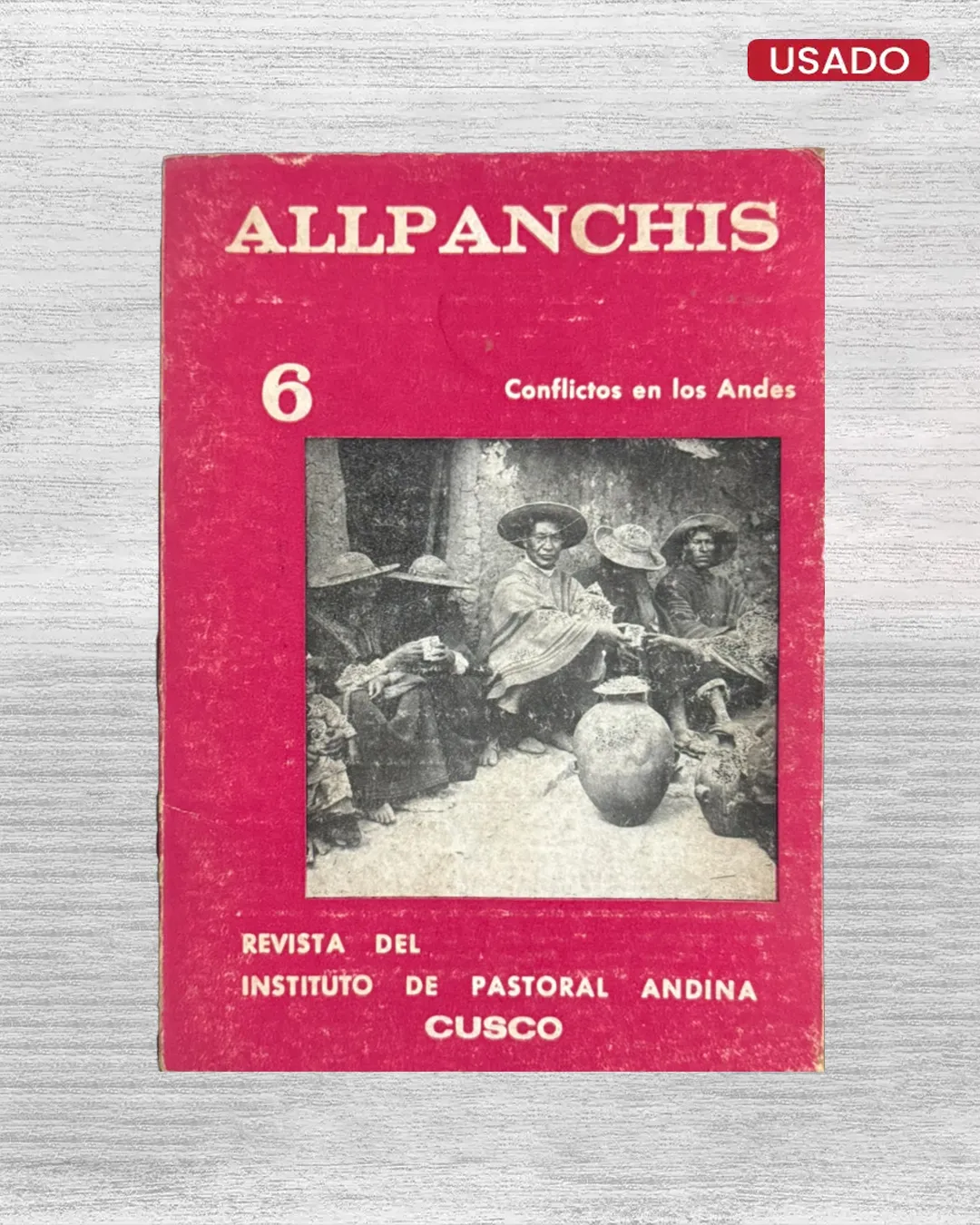 ALLPANCHIS Nº 6
