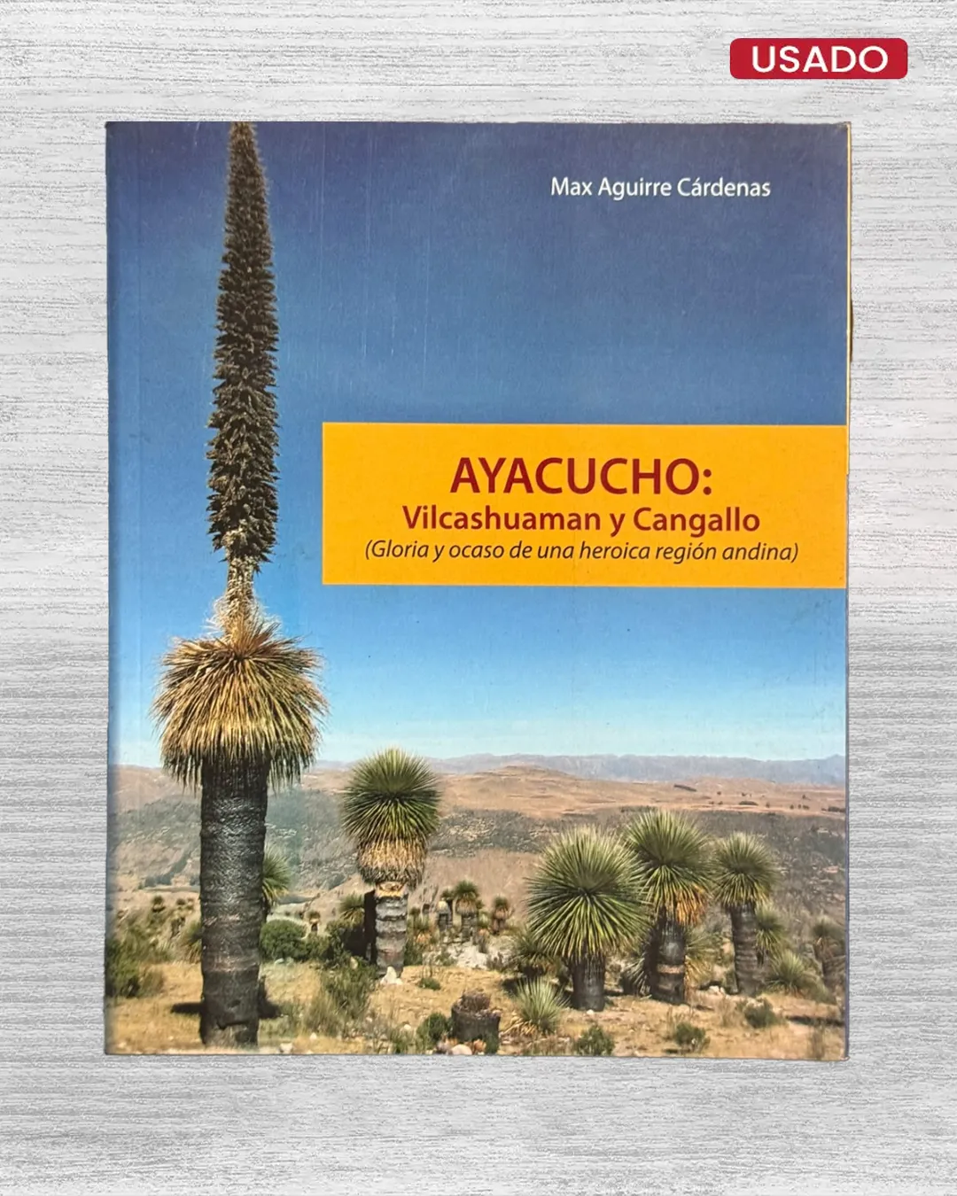 AYACUCHO: VILCASHUAMAN Y CANGALLO (GLORIA Y OCASO DE UNA HEROICA REGION ANDINA)