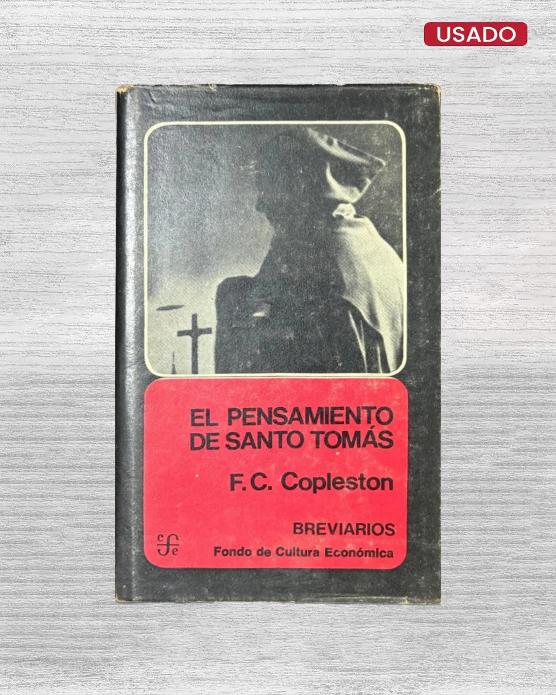 EL PENSAMIENTO DE SANTO TOMAS