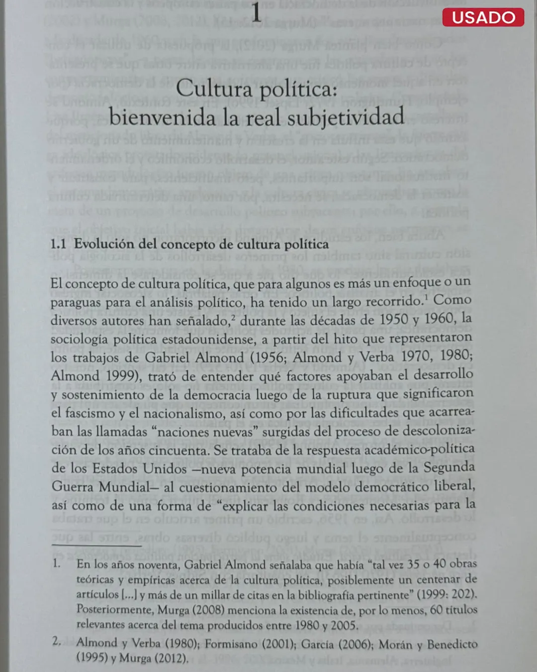 AFECTOS Y DESAFECTOS: LAS DIVERSAS SUBCULTURAS POLÍTICAS EN LIMA - Imagen 3