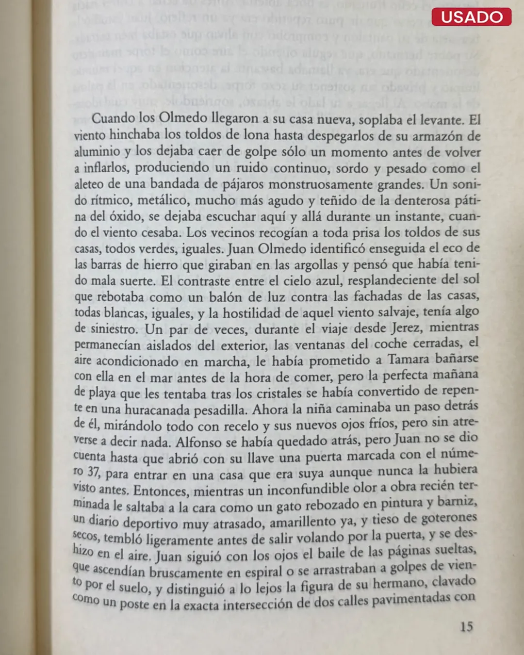 LOS AIRES DIFÍCILES - Imagen 2