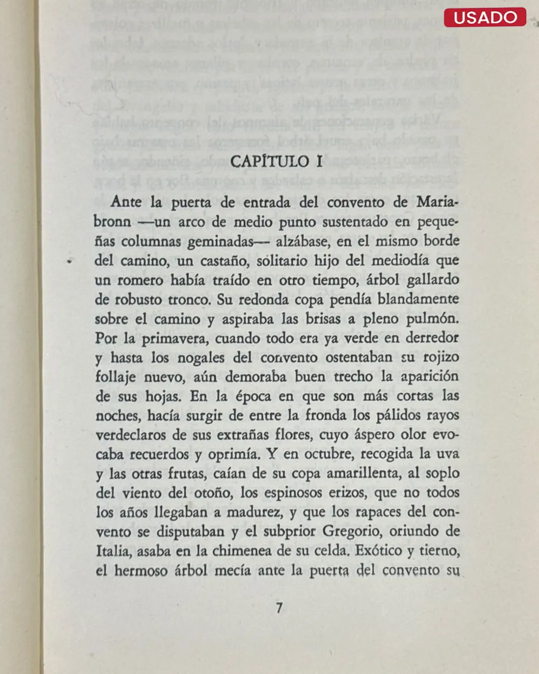 NARCISO Y GOLDMUNDO - Imagen 2