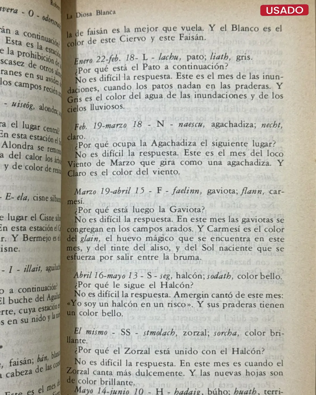 LA DIOSA BLANCA, 1 Y 2 - Imagen 4