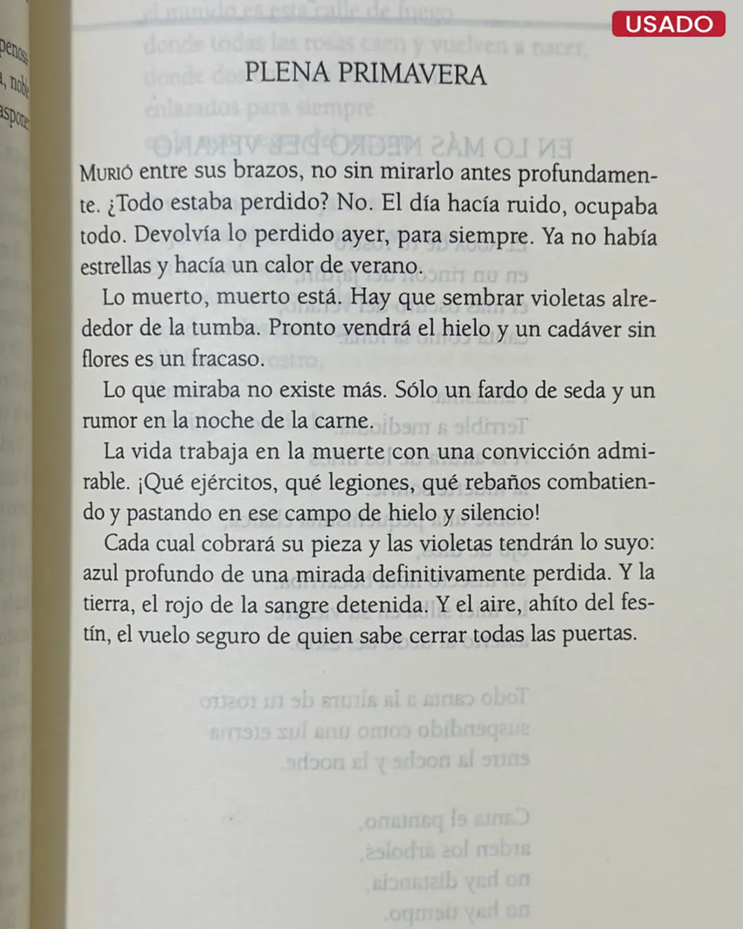 CANTO VILLANO - Imagen 3