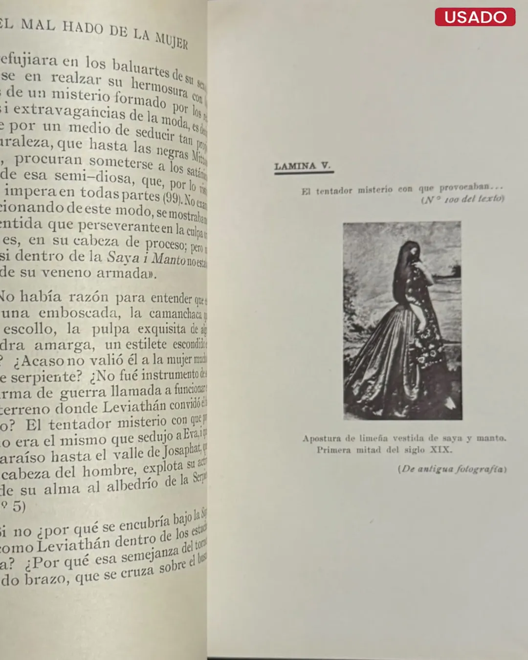 MEDITACIONES SOBRE LA AMADA COSTILLA - Imagen 4
