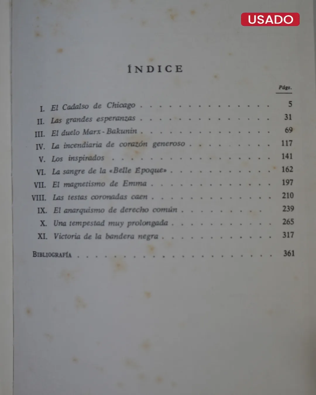 EL GRAN EJERCITO DE LA BANDERA NEGRA - Imagen 2