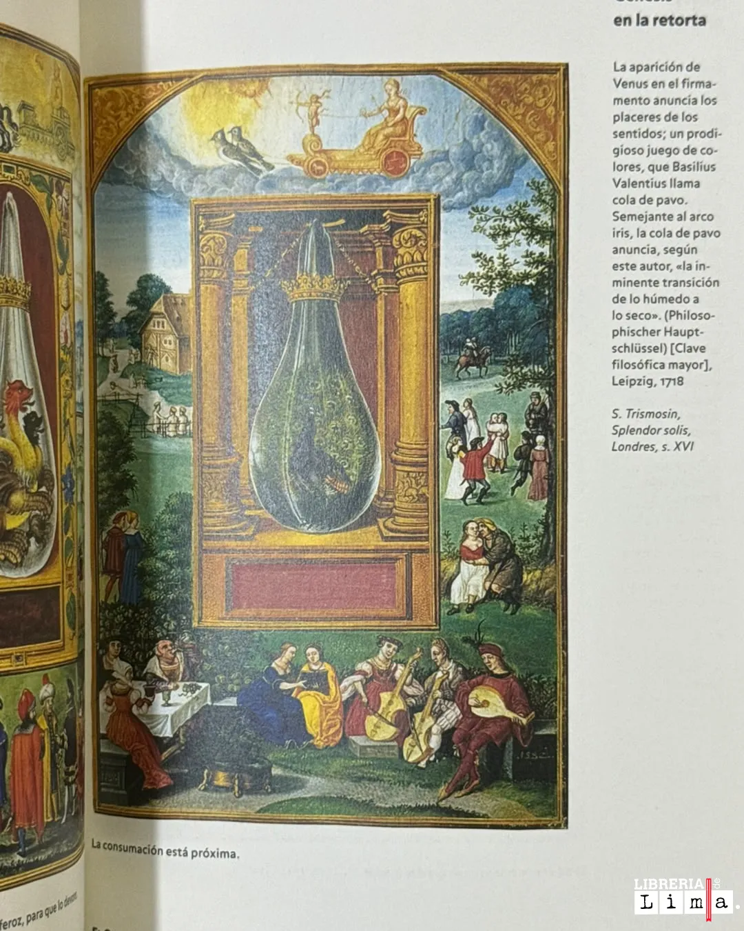 ALQUIMIA & MISTICA; EL MUSEO HERMETICO - Imagen 5
