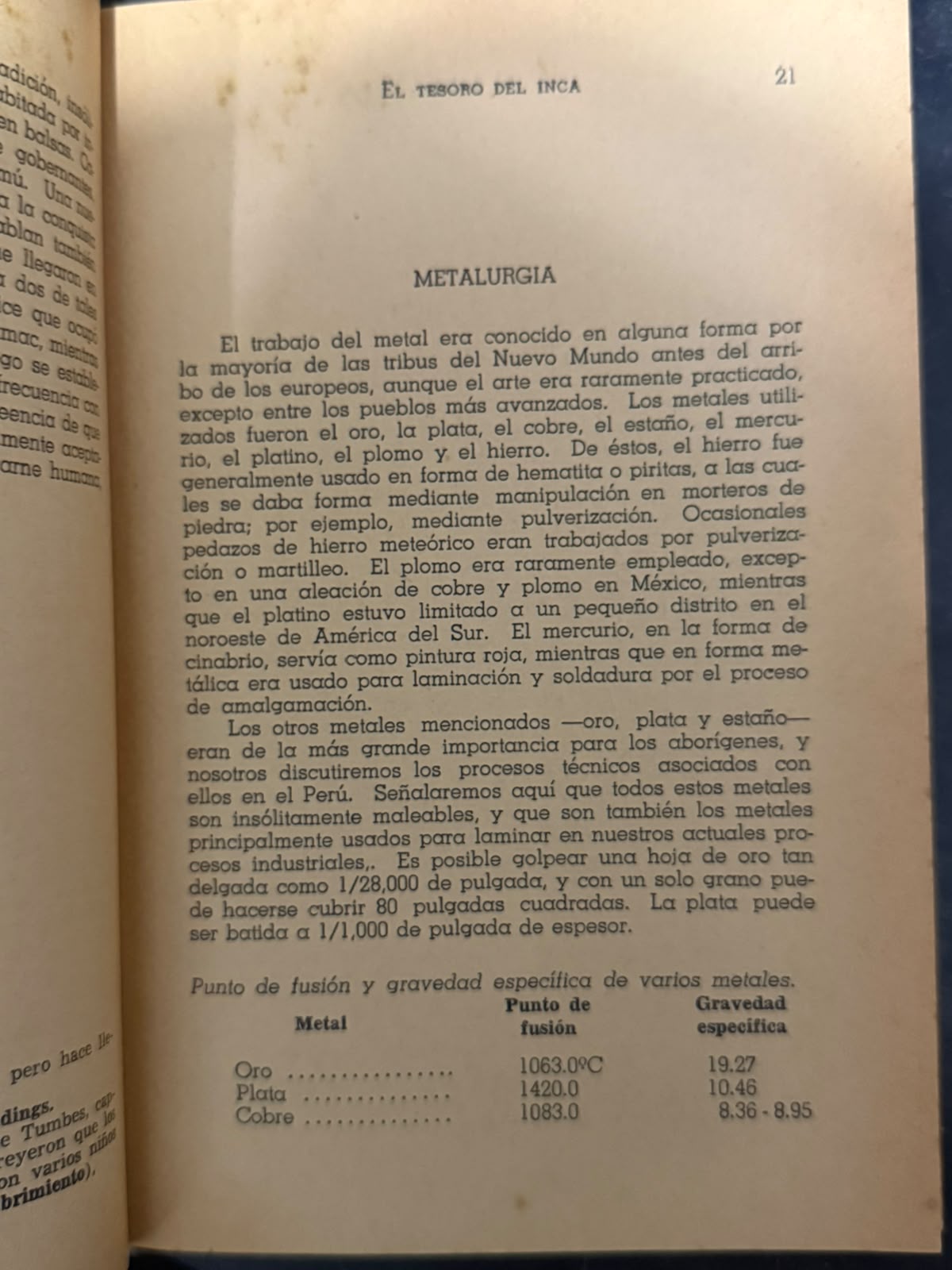 FRAGMENTO 2