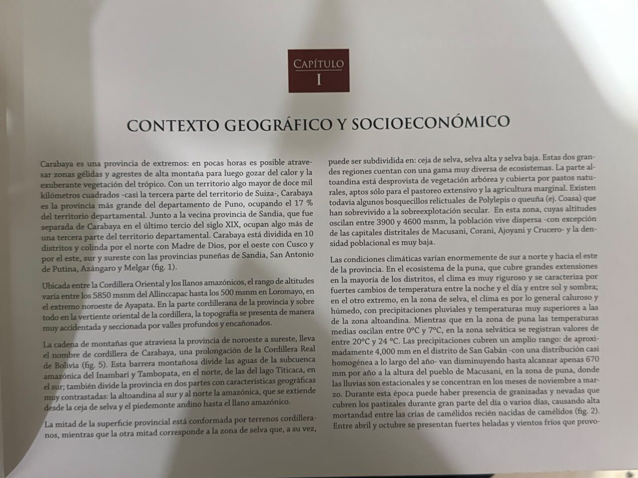 FRAGMENTO 1