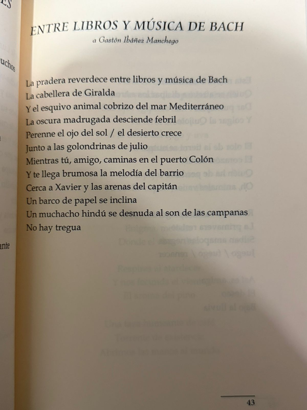 FRAGMENTO 2