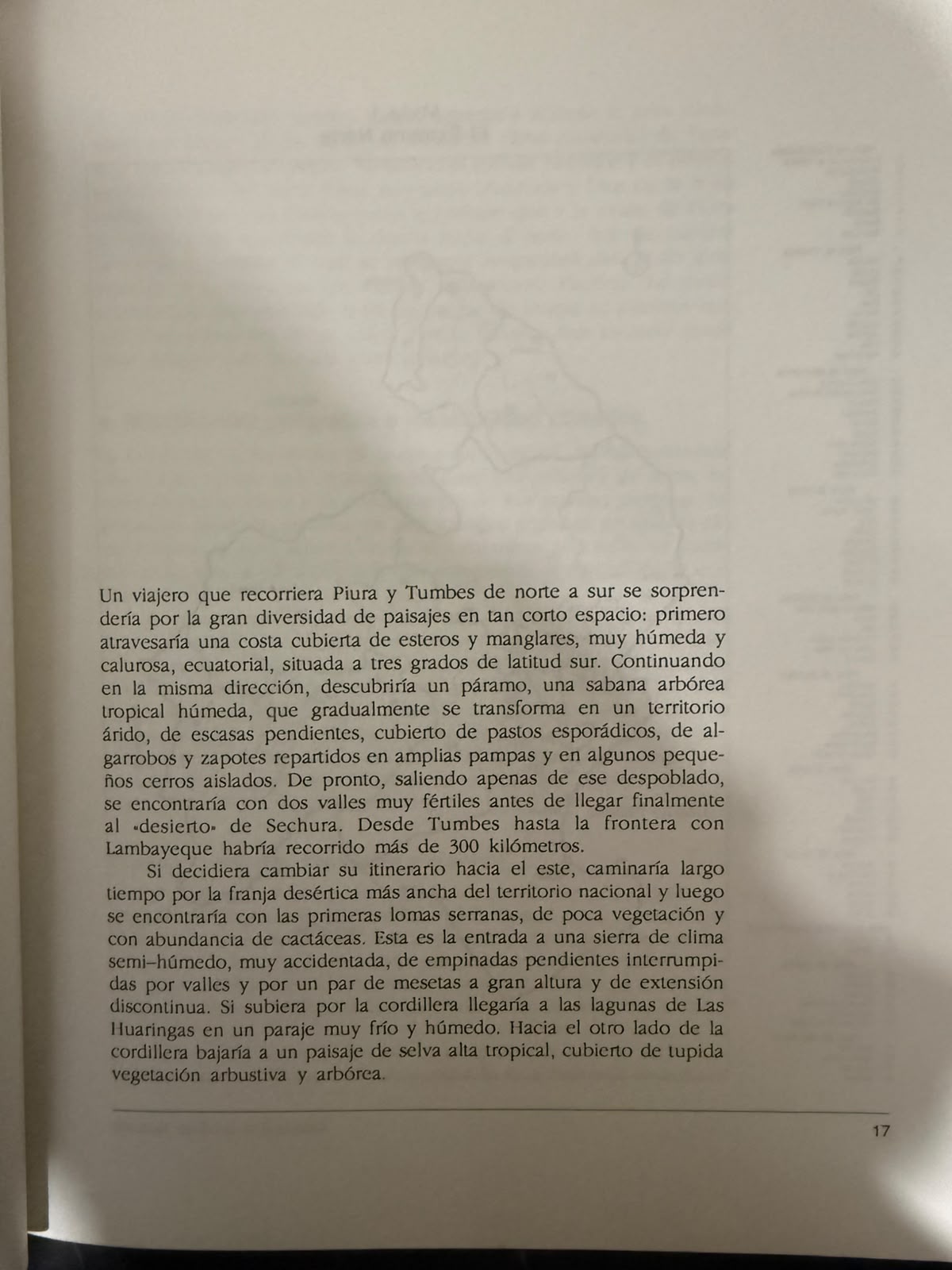 BALSILLAS PIAJENOS Y ALGODÓN - Imagen 3