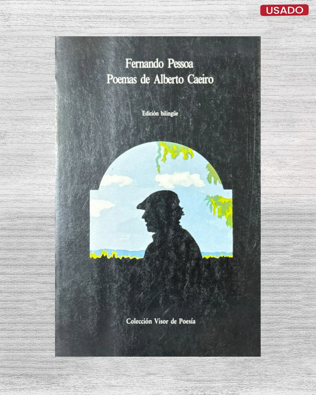 POEMAS DE ALBERTO CASTRO