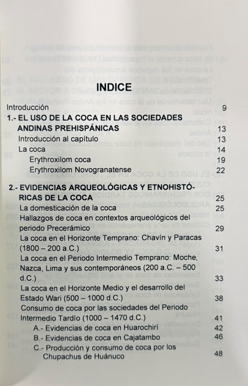 INDICE 1