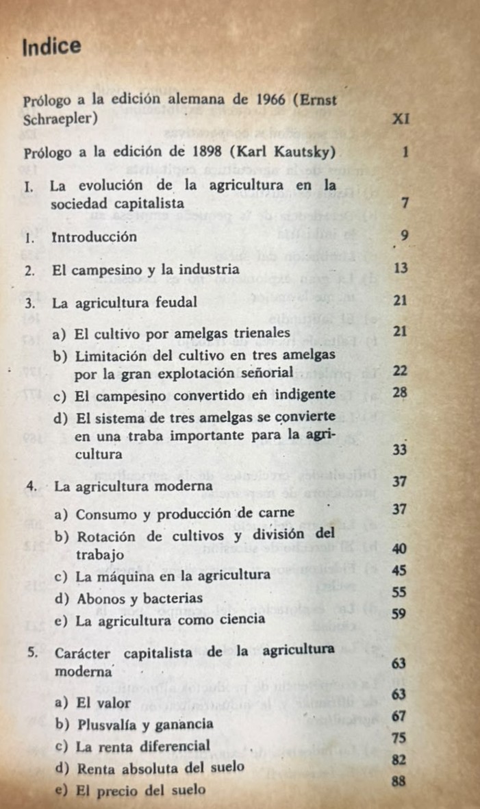 INDICE 1