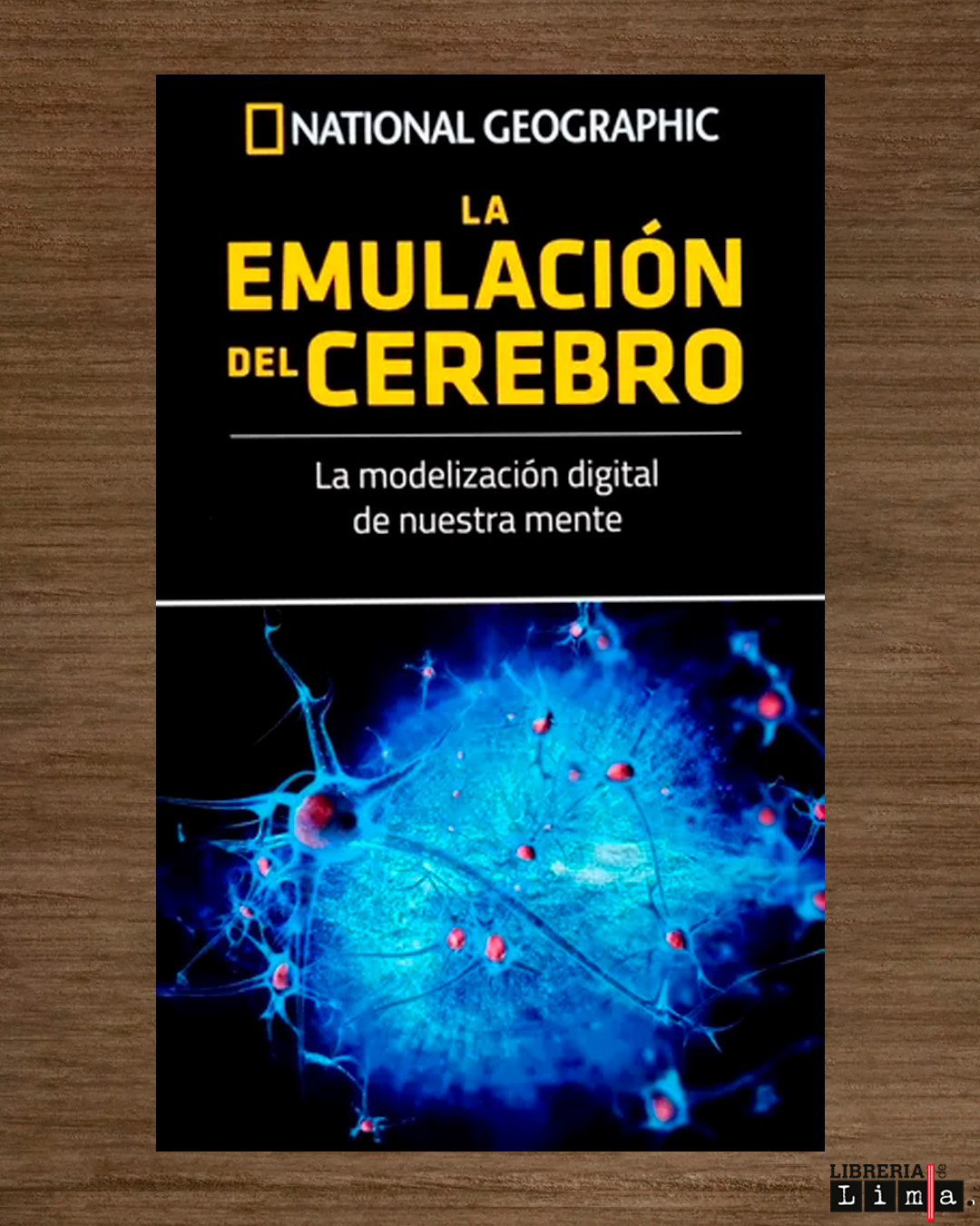 LA EMULACIÓN DEL CEREBRO: LA MODELIZACIÓN DIGITAL DE NUESTRA MENTE