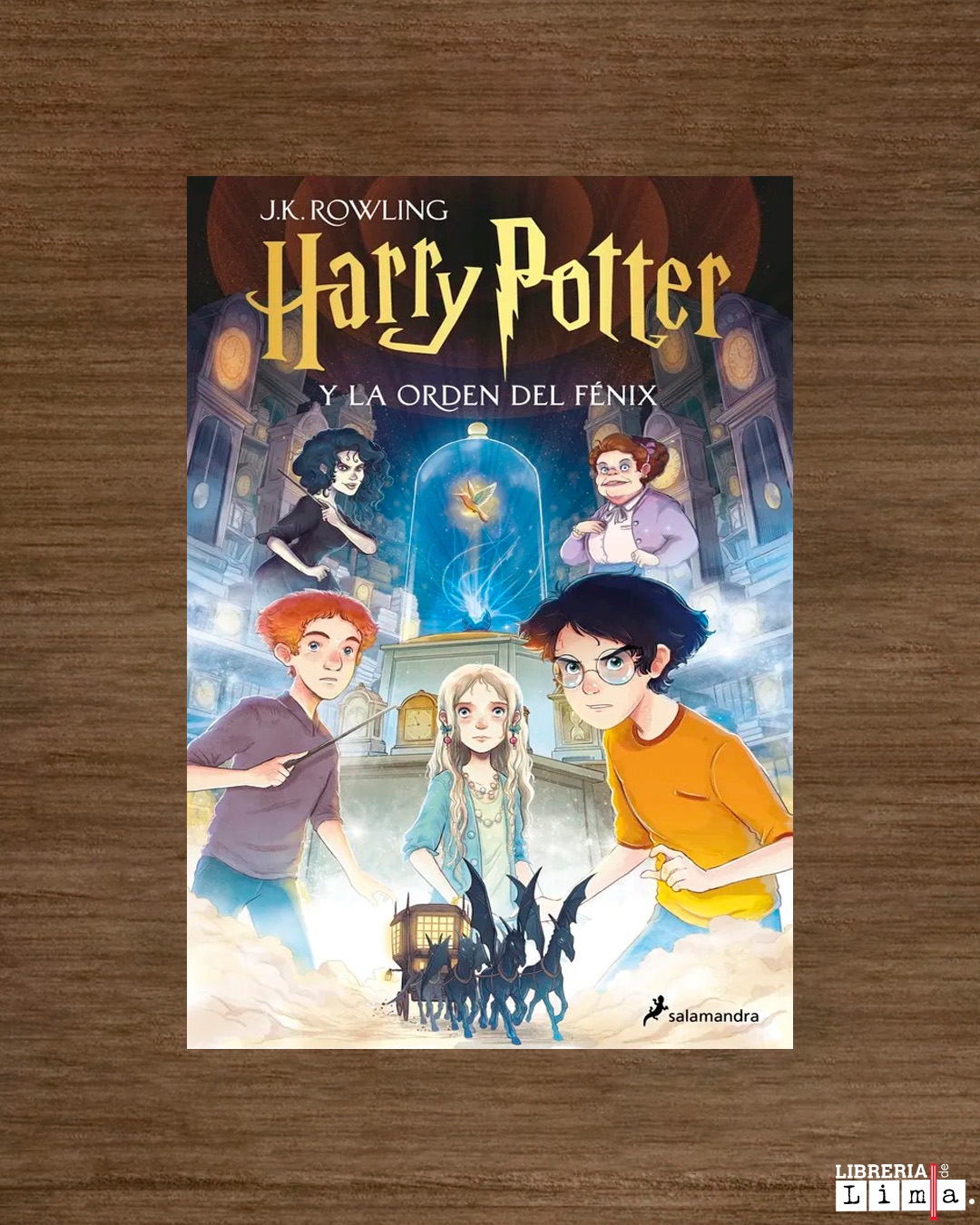 HARRY POTTER Y LA ORDEN DEL FENIX