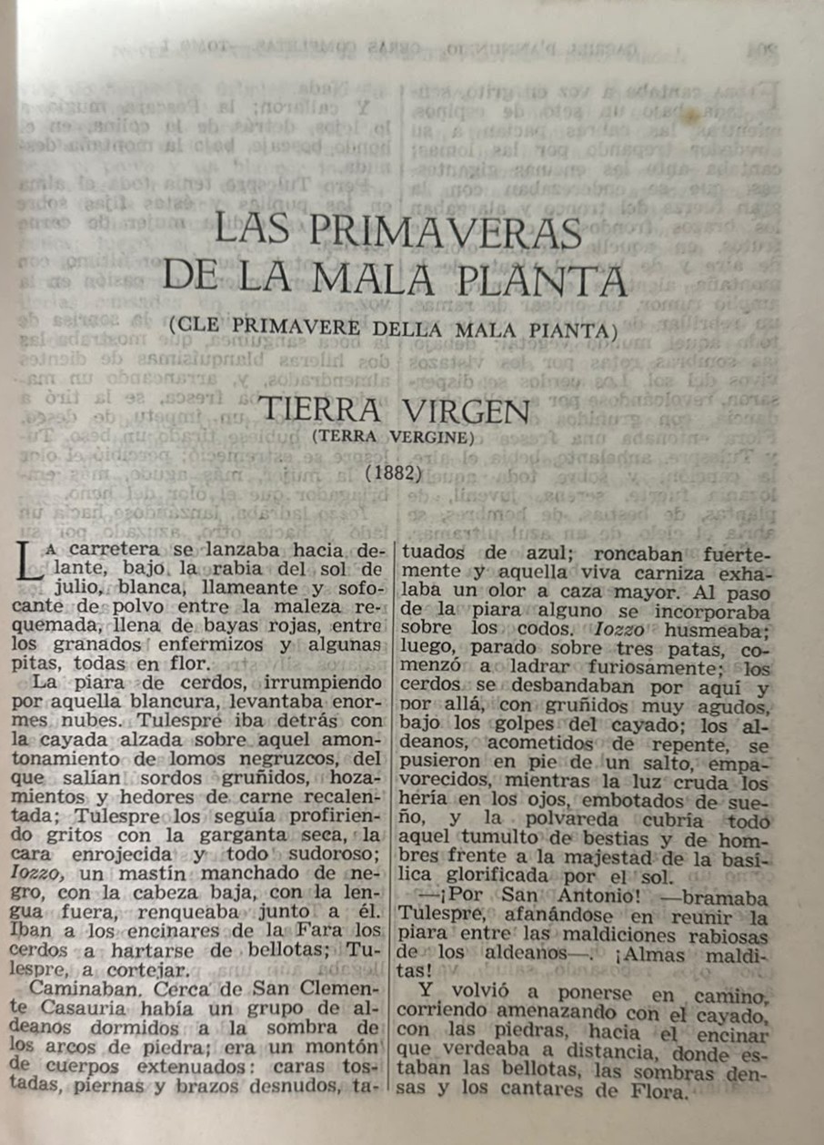 FRAGMENTO