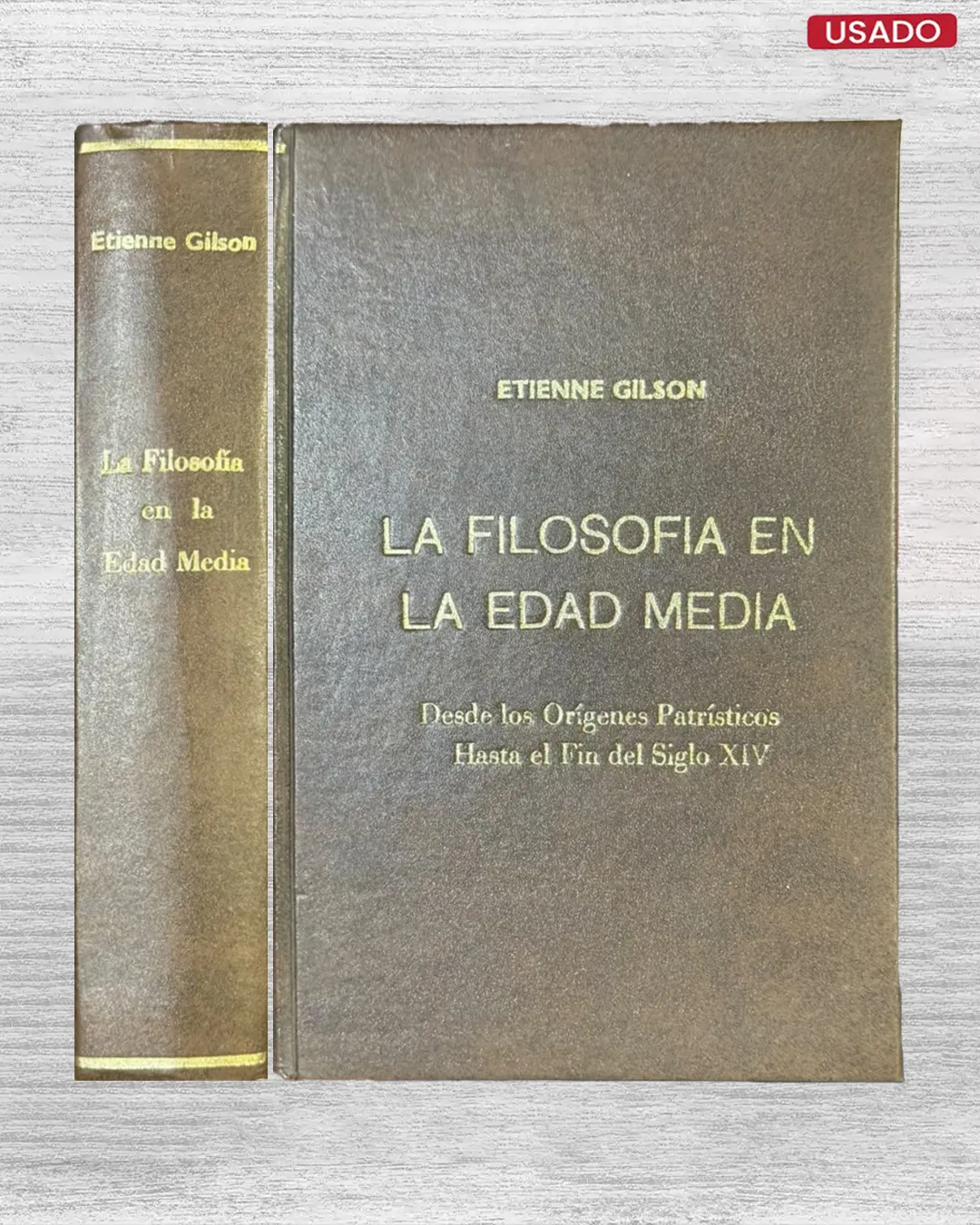 LA FILOSOFÍA EN LA EDAD MEDIA
