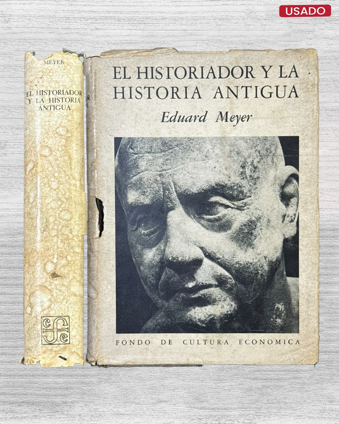 EL HISTORIADOR Y LA HISTORIA ANTIGUA