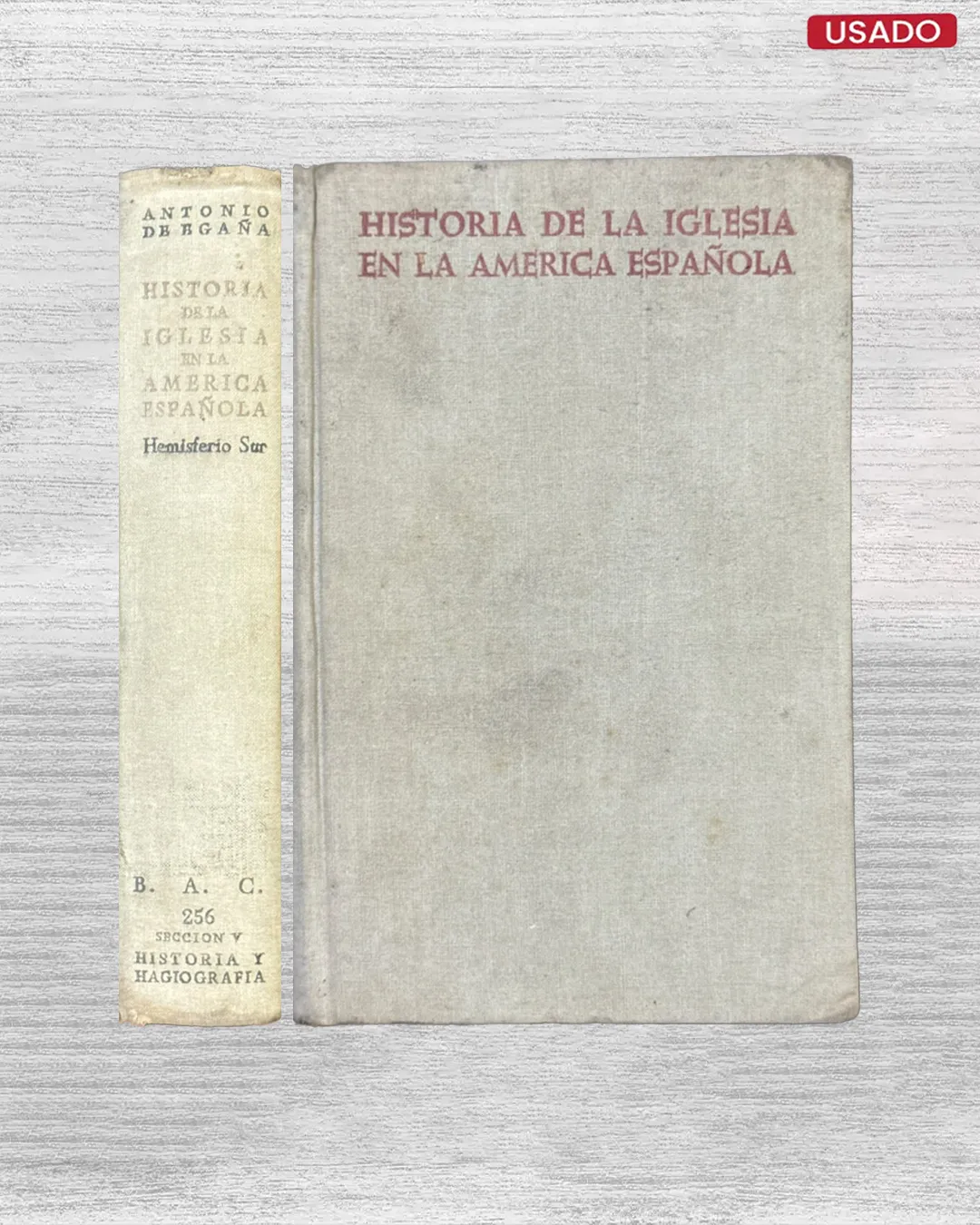 HISTORIA DE LA IGLESIA EN LA AMERICA ESPAÑOLA; DESDE EL DESCUBRIMIENTO HASTA COMIENZOS DEL SIGLO XIX (HEMISFERIO SUR)