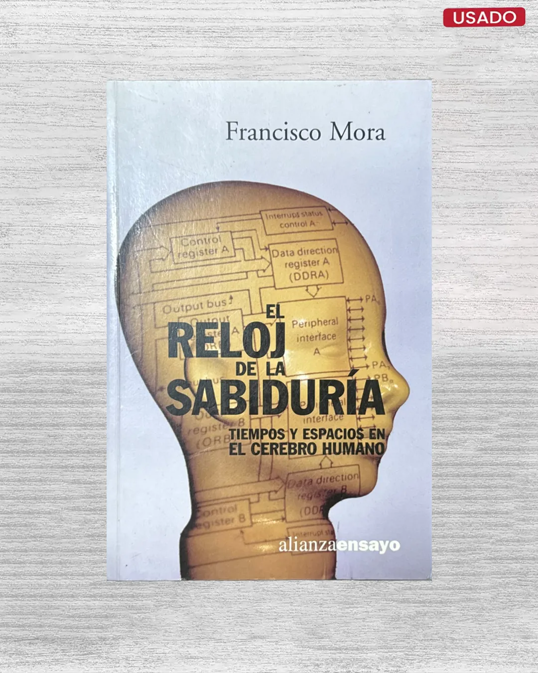 EL RELOJ DE LA SABIDURIA: TIEMPOS Y ESPACIOS EN EL CEREBRO HUMANO