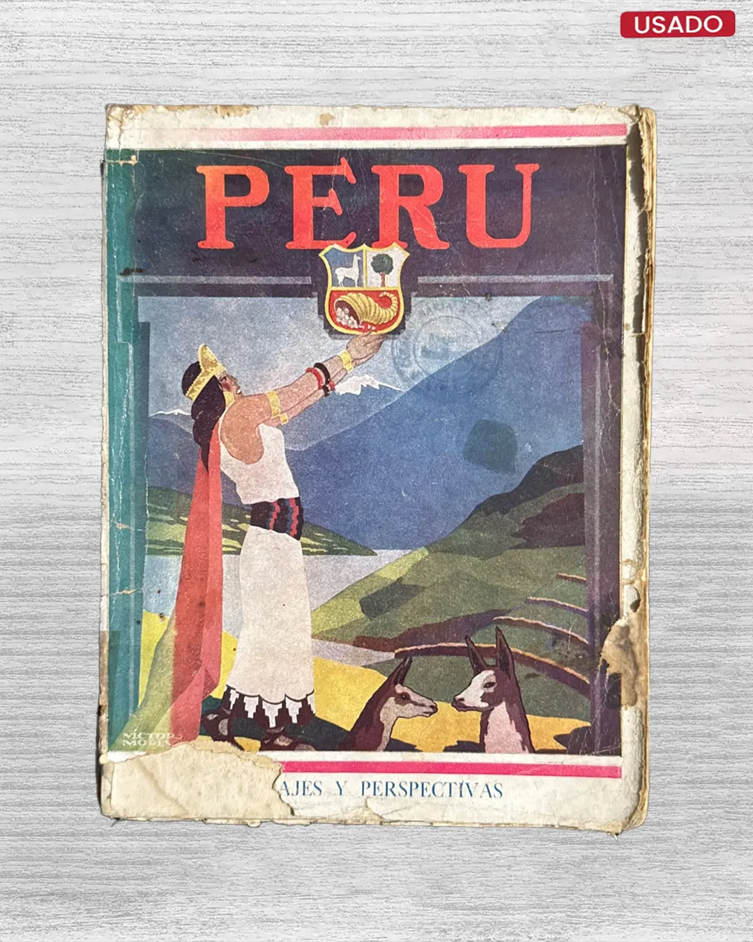 PERU: VISIONES Y PERSPECTIVAS