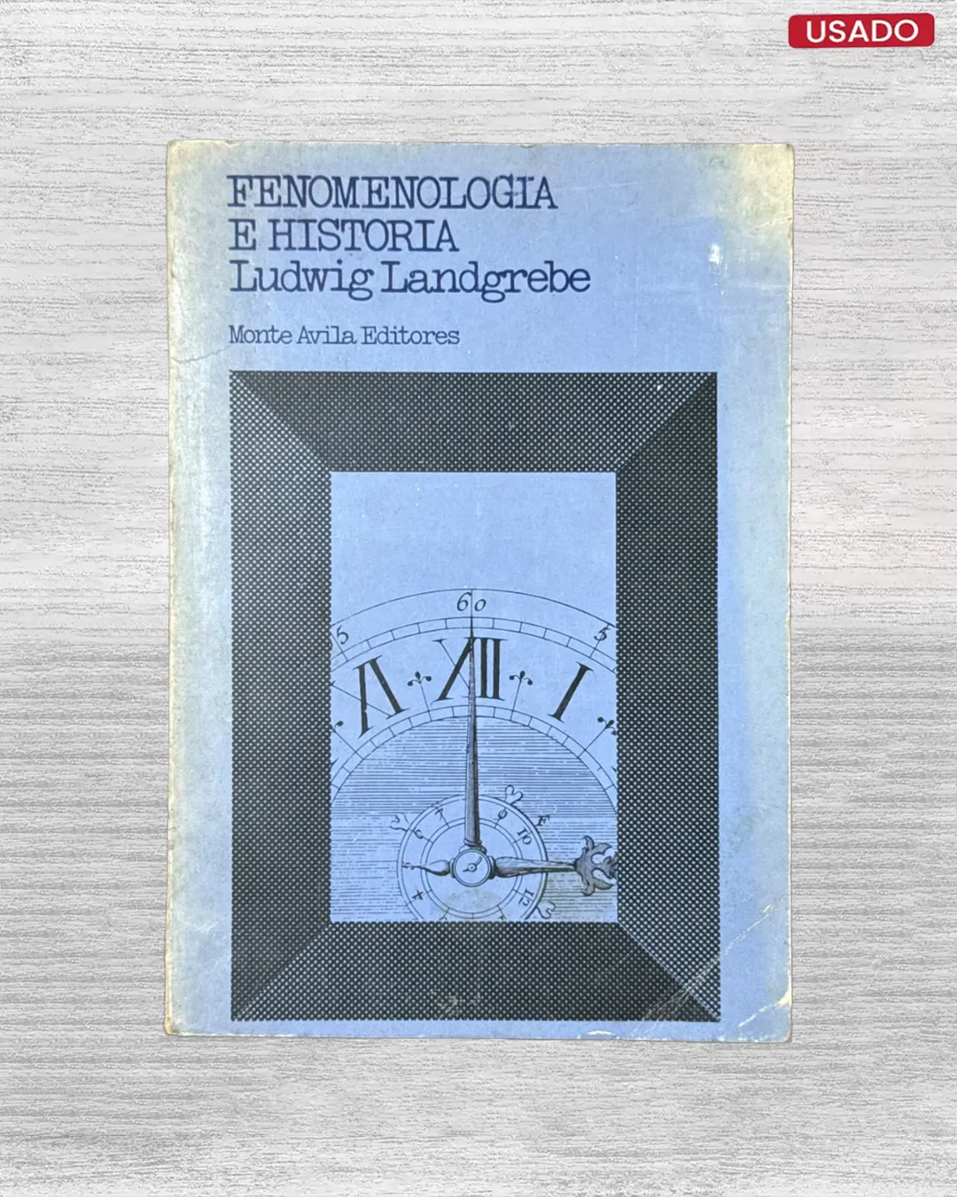 FENOMENOLOGIA E HISTORIA