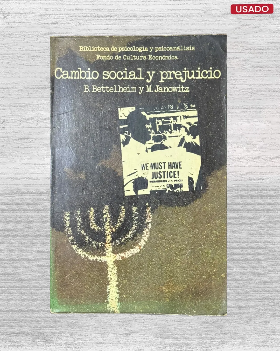 CAMBIO SOCIAL Y PREJUICIO