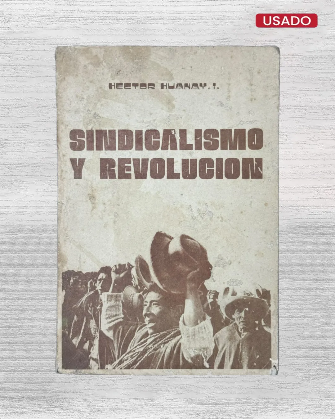 SINDICALISMO Y REVOLUCION