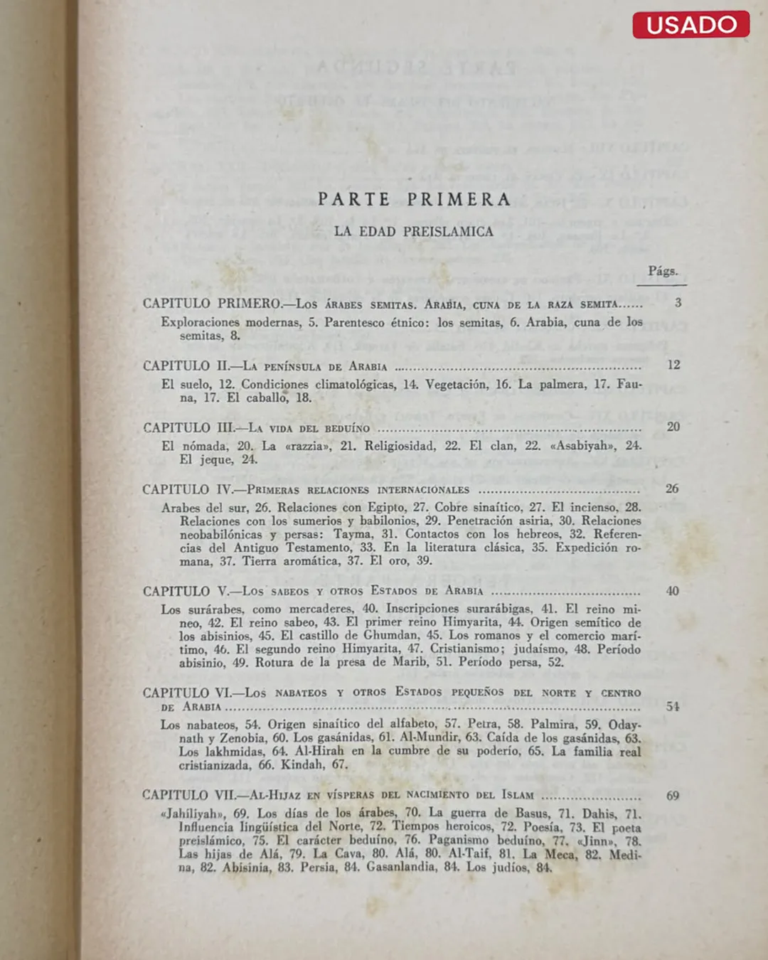 HISTORIA DE LOS ÁRABES - Imagen 2