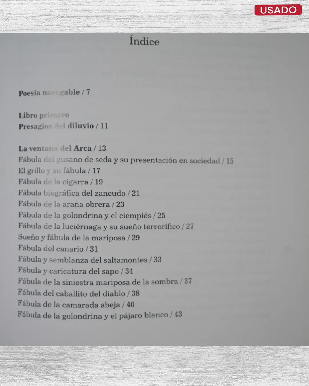NOÉ DELIRANTE - Imagen 4
