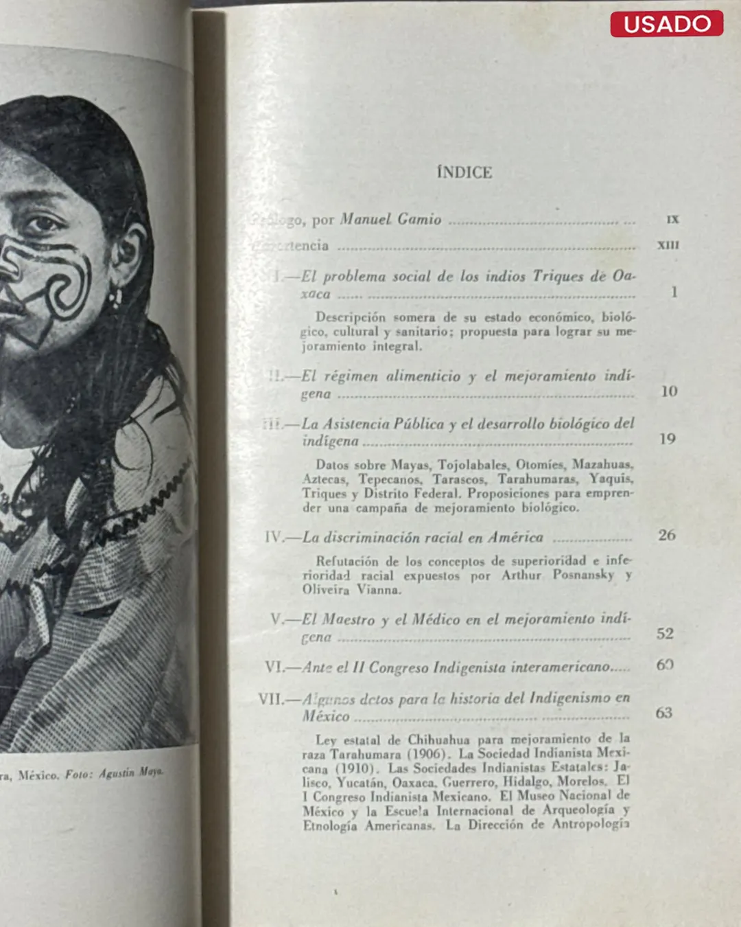 ENSAYOS SOBRE INDIGENISMO - Imagen 3