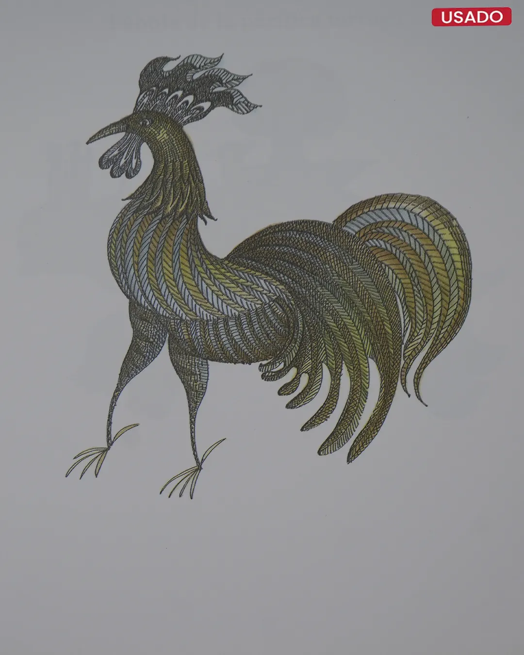 NOÉ DELIRANTE - Imagen 3