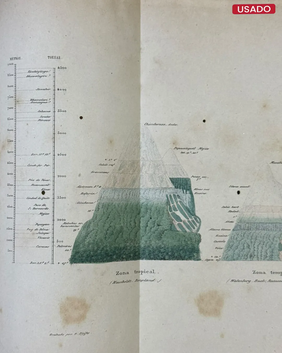 CUADROS DE LA NATURALEZA - Imagen 2