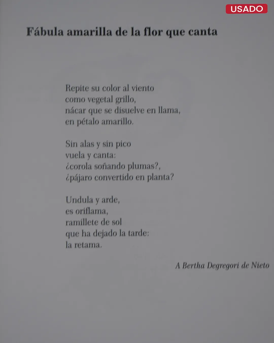 NOÉ DELIRANTE - Imagen 2