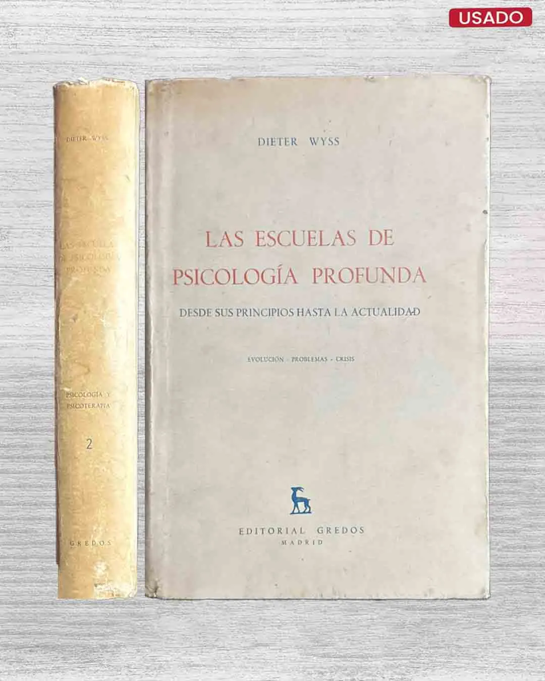LAS ESCUELAS DE PSICOLOGIA PROFUNDA; DESDE SUS PRINCIPIOS HASTA LA ACTUALIDAD