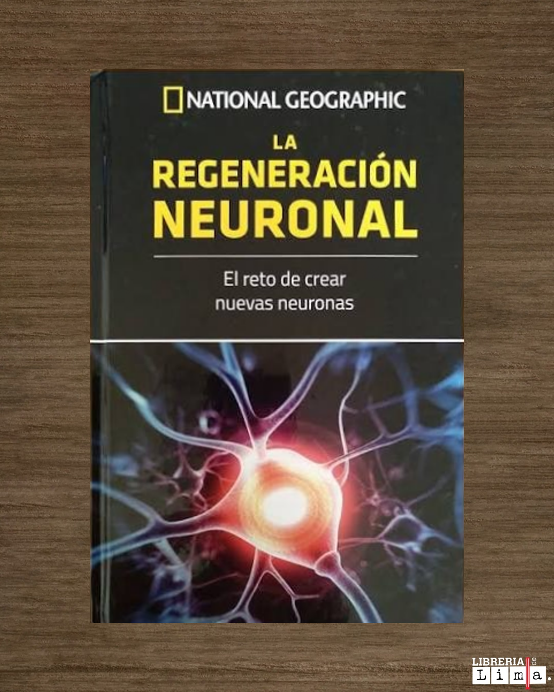 LA REGENERACIÓN NEURONAL: EL RETO DE CREAR NUEVAS NEURONAS